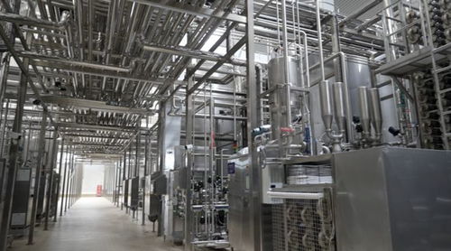 消費品制造業(yè)高質量發(fā)展調研行 探訪蒙牛 零碳 工廠 尋找生產車間里的 綠色密碼