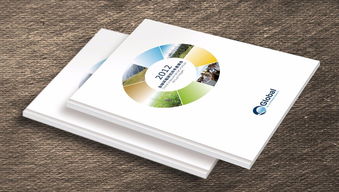 圖 朝陽望京一宣傳折頁印刷一金彩軒印刷公司為您一站式服務 北京印刷包裝